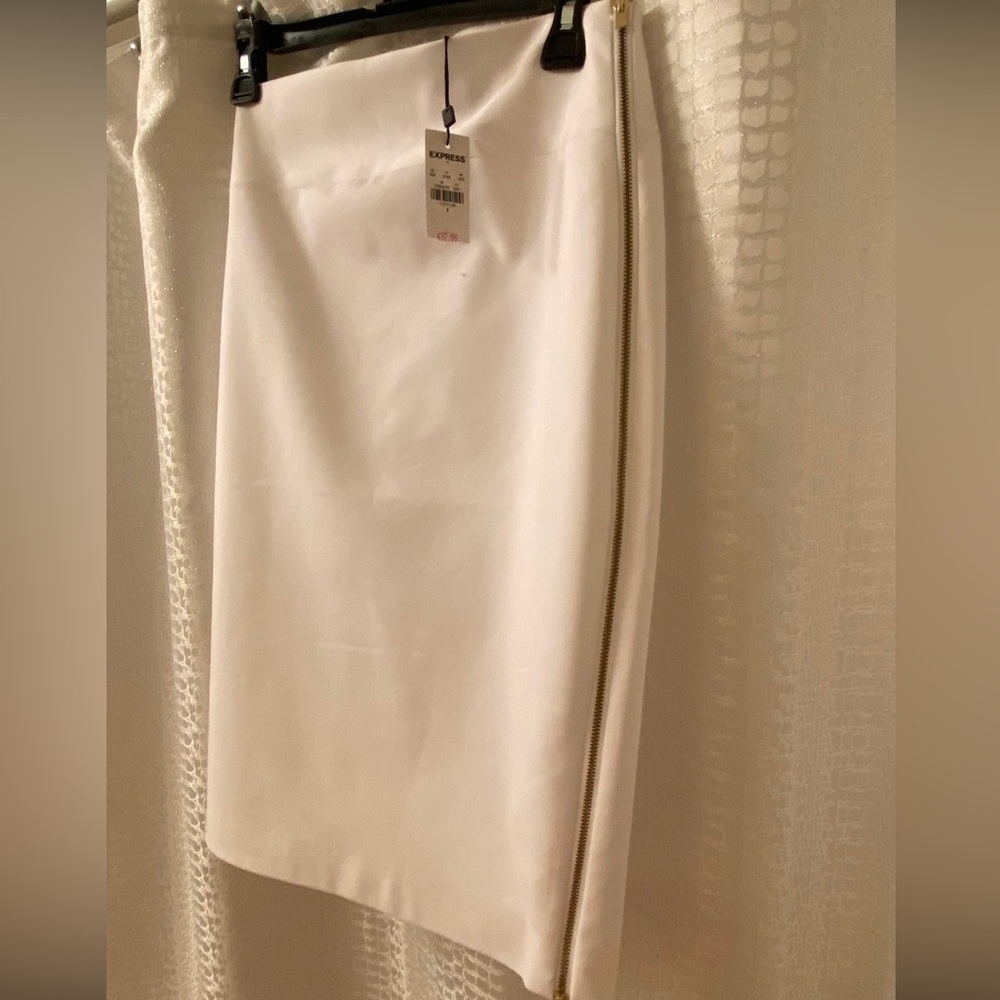 Express Pencil skirt